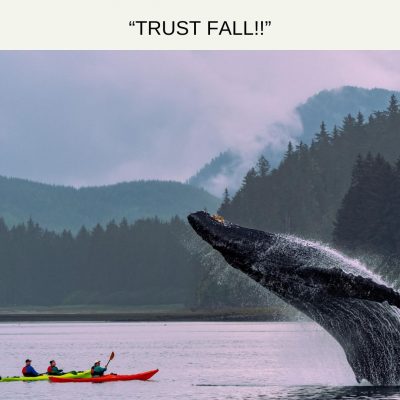 trust fall meme